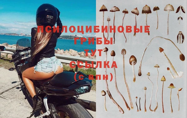 герыч Дмитриев