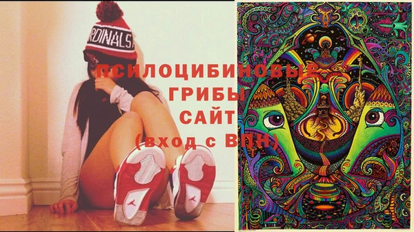 герыч Дмитриев