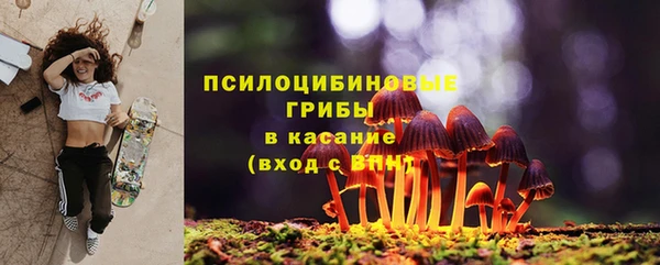 молекула духа Дмитровск