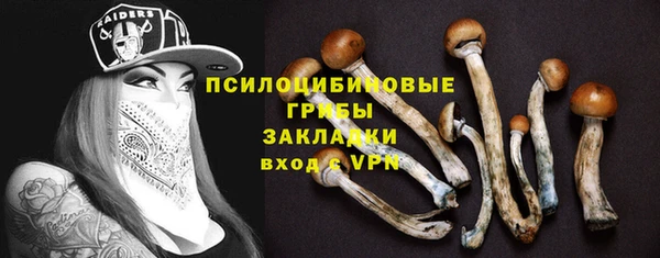 герыч Дмитриев