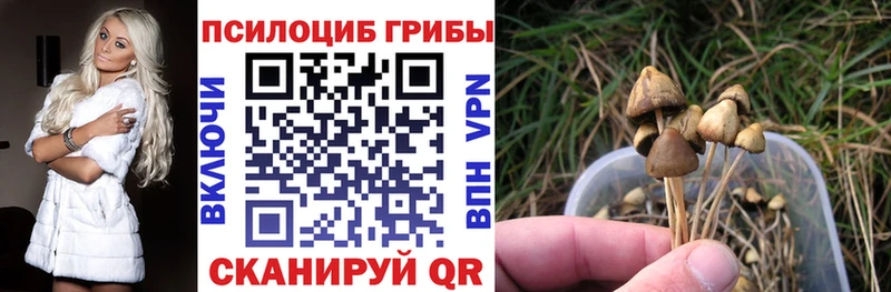 продажа наркотиков  Емва  Галлюциногенные грибы MAGIC MUSHROOMS 